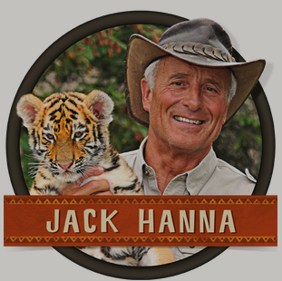 Jack Hanna holding a baby tiger.
