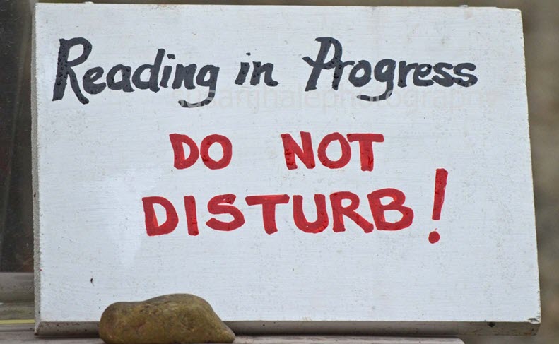 Sign that says reading in progress do not disturb!