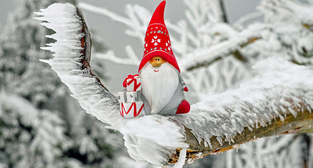 elf with gifts sits in a snow-covered tree